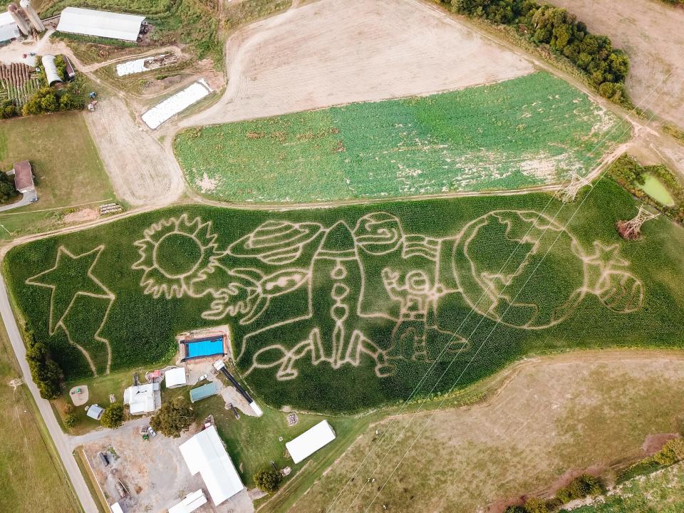 Ballinger Farm Crazy Maze's 2019 corn maze has an outer space theme.