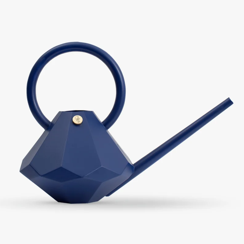 chic blue watering can