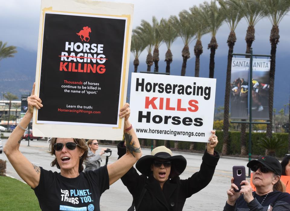 Animal welfare advocates protest the deaths of racehorses at the Santa Anita Racetrack.