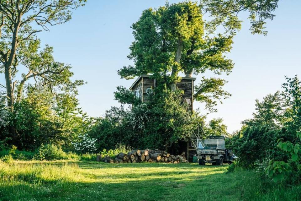 12 treehouse Airbnbs to live out your childhood dreams