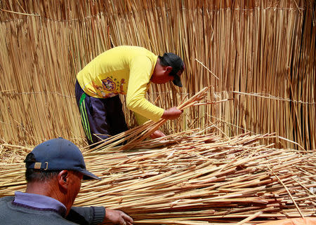 Aymara builders select totora reed as they work on the 'Viracocha III', a boat made only from the reed, as it is being prepared to cross the Pacific from Chile to Australia on an expected six-month journey, in La Paz, Bolivia, October 19, 2016. REUTERS/David Mercado