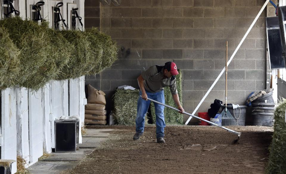 El inmigrante José Cesada trabajando en el establo del preparador Dale Romans en el Churchill Downs, sede del Derby de Kentucky, el 19 de abril del 2017. El hipismo de EEUU depende de la mano de obra extranjera y podría sufrir de una fuerte escasez de personal por las políticas inmigratorias de Donald Trump y la pandemia del coronavirus. (AP Photo/Timothy D. Easley, File)