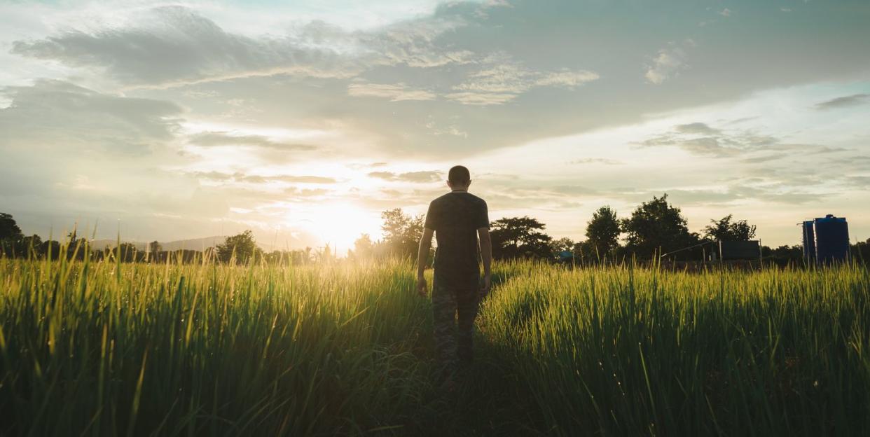 rear view of man walking on field against sky