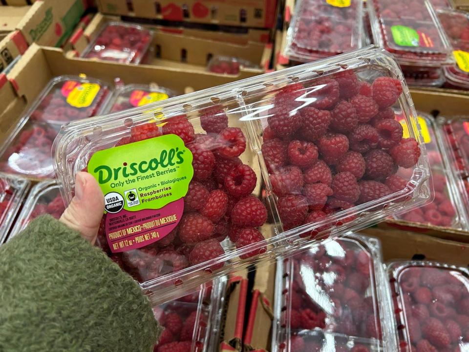 Driscolls raspberries 