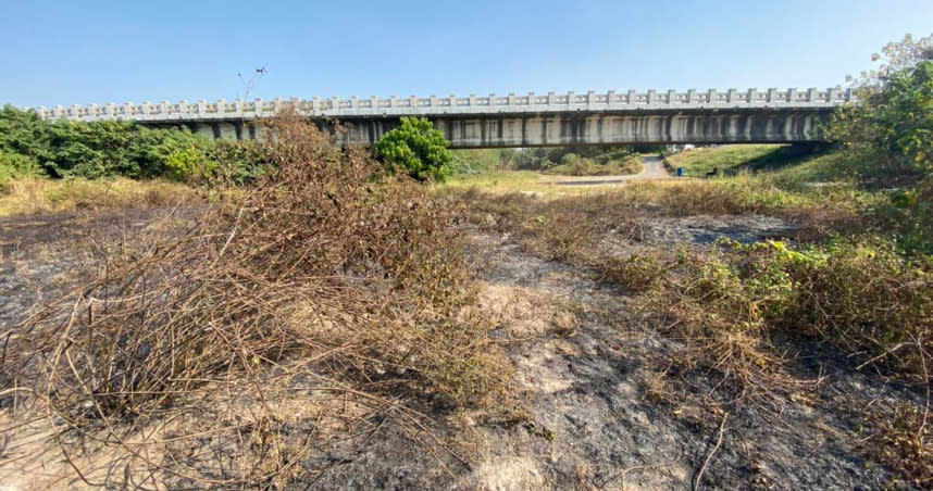 屏東崁頂橋下今天上午被人發現燃燒大片乾草，火滅後卻驚見9隻幼犬被燒死。（圖／讀者提供）