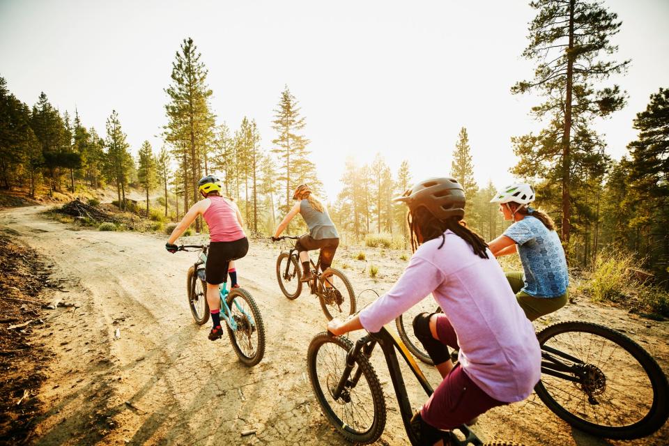 Female mountain bikers riding on forest road on summer evening - stock photo