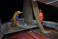 Pasquale Di Bartolomeo, left, and Francesco unload a fishing net aboard the trawler Marianna, during a fishing trip in the Tyrrhenian Sea, early Thursday morning, April 2, 2020. Italy’s fishermen still go out to sea at night, but not as frequently in recent weeks since demand is down amid the country's devastating coronavirus outbreak. For one night, the Associated Press followed Pasquale Di Bartolomeo and his crew consisting of his brother Francesco and another fishermen, also called Francesco, on their trawler Marianna. (AP Photo/Andrew Medichini)