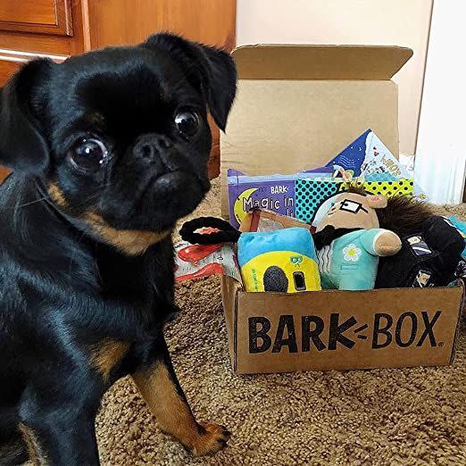 1) BarkBox