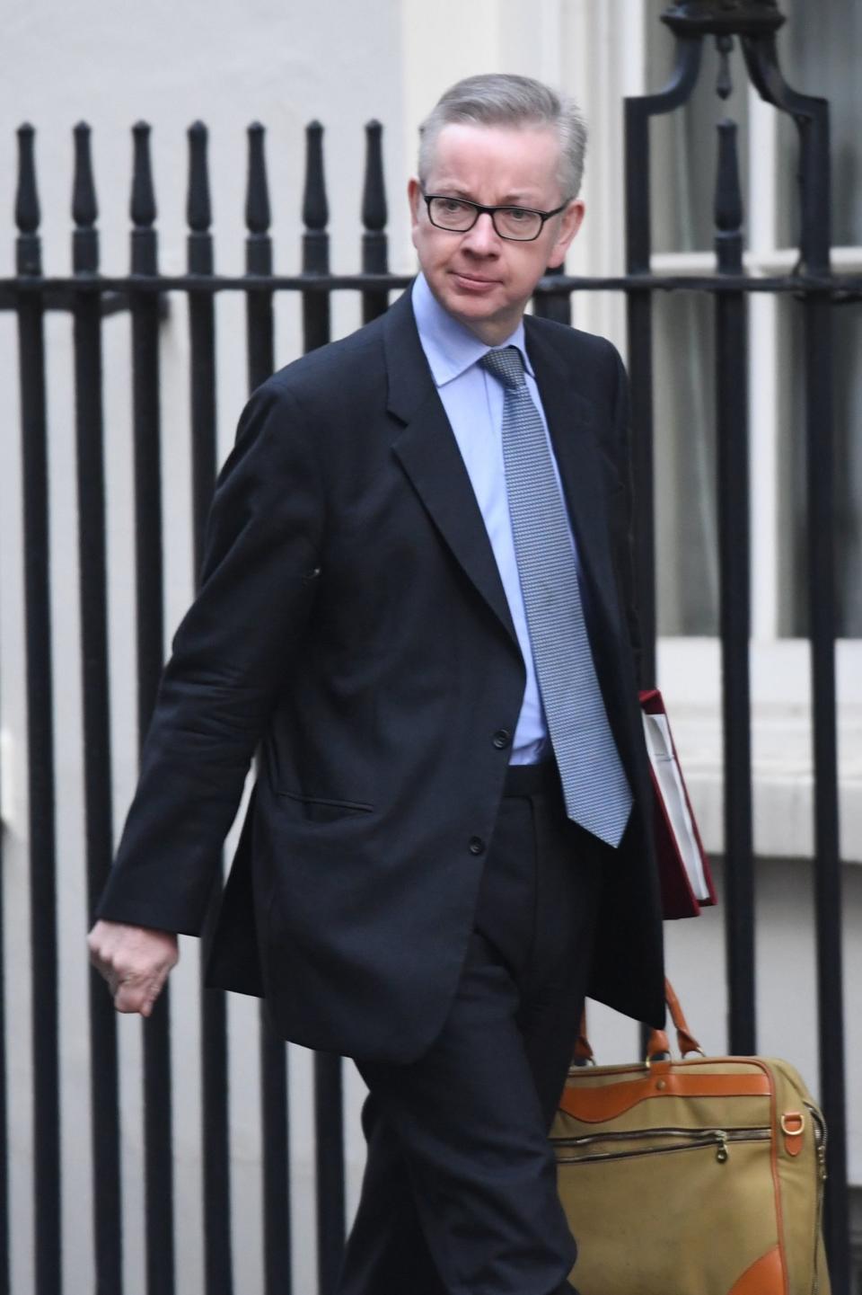 Environment Secretary Michael Gove arrives in Downing Street for a meeting of the cabinet (PA)