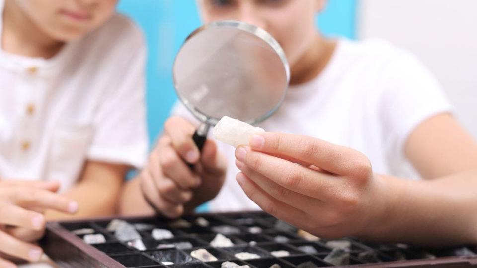 Stock image of children looking at rocks