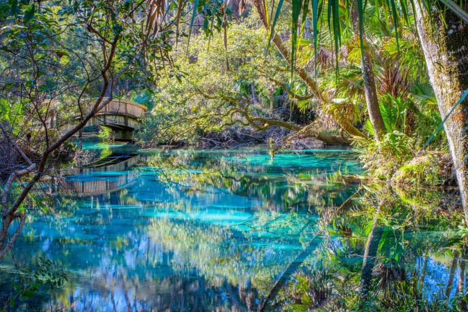 Hike to Juniper Spring in Ocala National Forest