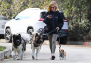 <p>Out with the pups, Sarah Michelle Gellar checks her messages while taking a stroll through Brentwood the morning of Dec. 28. </p>