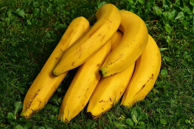 Organic Bananas Ripe For Growth - Produce Business