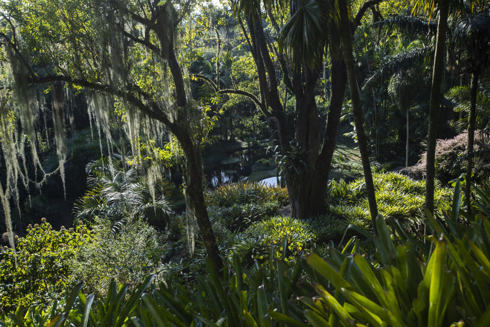 View of the garden of Roberto Burle Marx’s former home, which was elected today as a World Heritage Site by the United Nations Educational, Scientific and Cultural Organization, UNESCO, in Rio de Janeiro, Brazil, Tuesday, July 27, 2021. The site features more than 3,500 species of plants native to Rio and is considered a laboratory for botanical and landscape experimentation. (AP Photo/Bruna Prado)