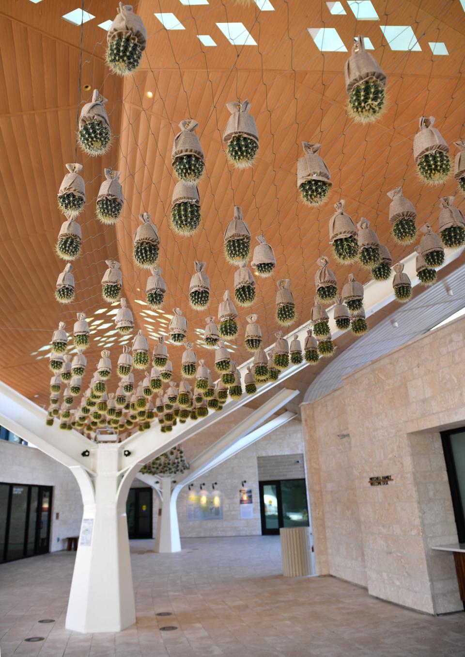 Titled "Dot Matrix", Golden barrel cactus are suspended upside-down at the Welcome Center.