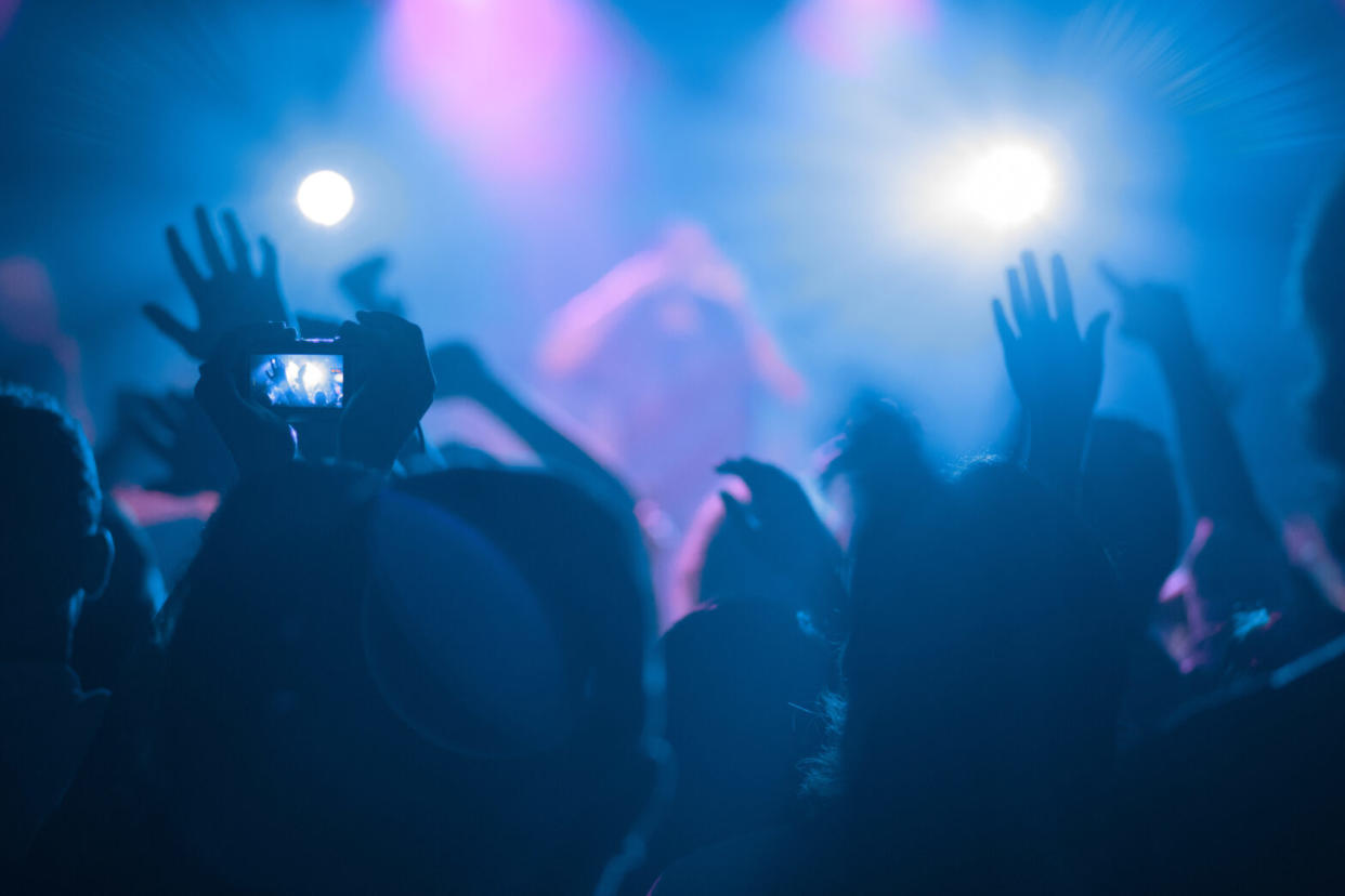 crowd of people at a concert