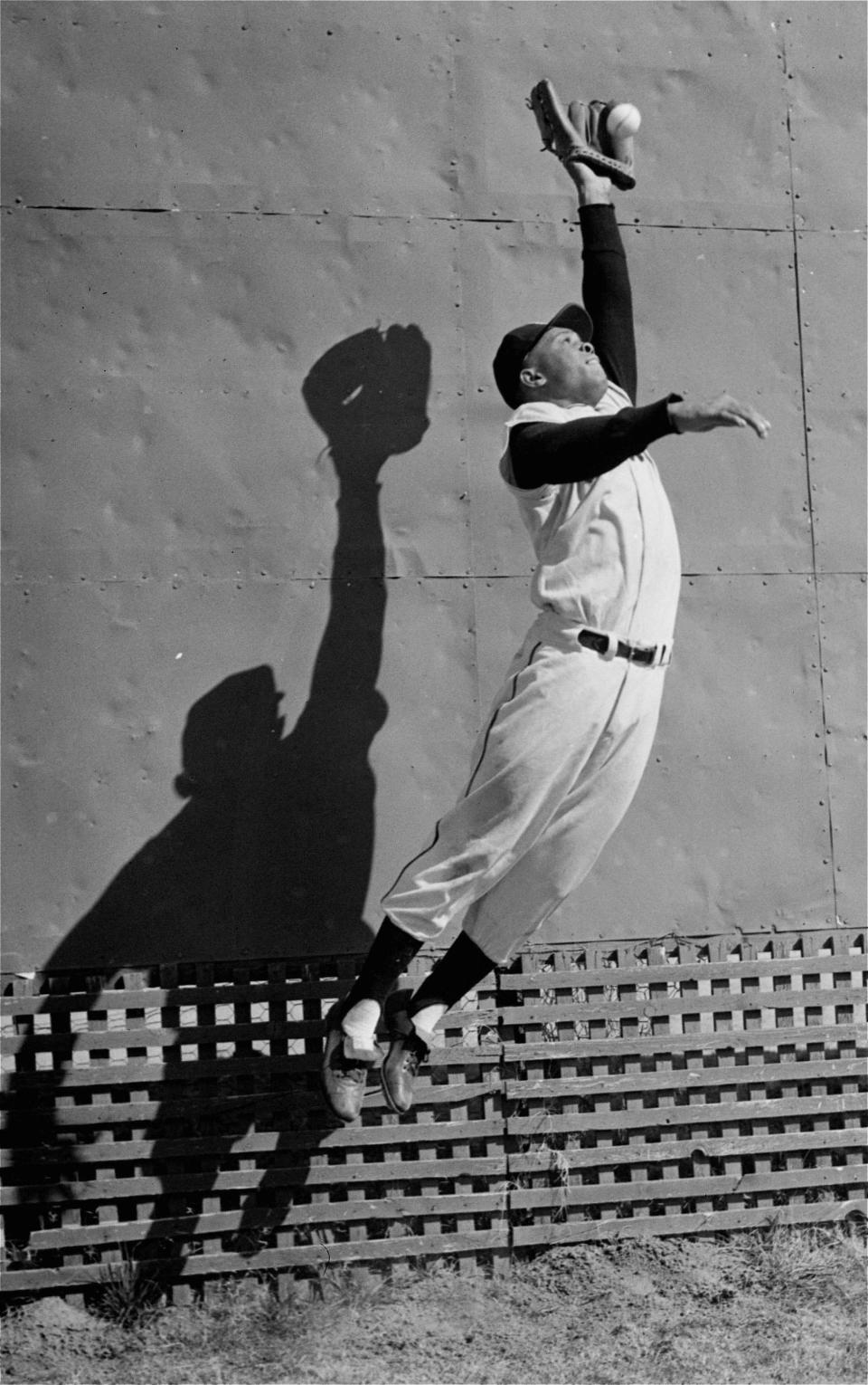 FILE - New York Giants center fielder Willie Mays leaps high to snare a ball near the outfield fence at the Giants' Phoenix spring training base, Feb. 29, 1956. Mays, the electrifying “Say Hey Kid” whose singular combination of talent, drive and exuberance made him one of baseball’s greatest and most beloved players, has died. He was 93. Mays' family and the San Francisco Giants jointly announced Tuesday night, June 18, 2024, he had “passed away peacefully” Tuesday afternoon surrounded by loved ones. (AP Photo, File)