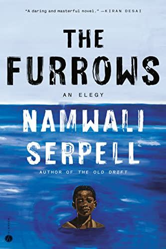 18) <em>The Furrows</em>, by Namwali Serpell