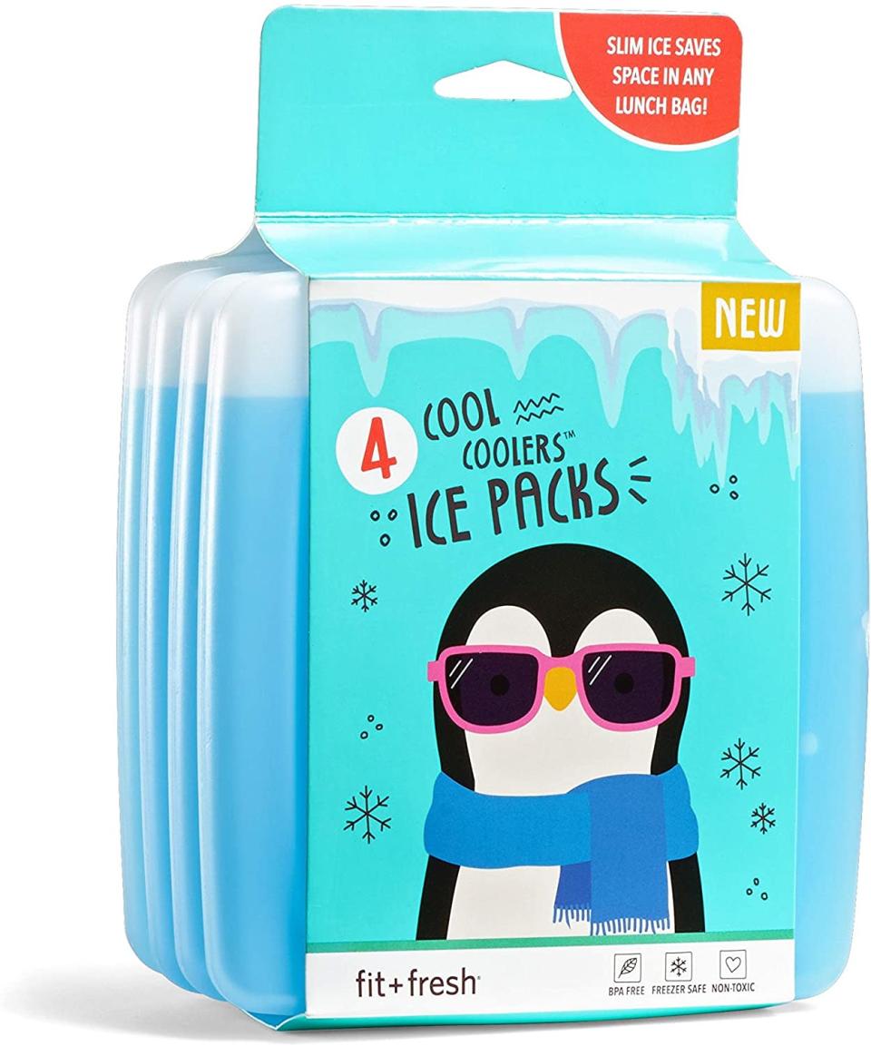 Fit &amp; Fresh Cool Coolers Reusable Ice Packs