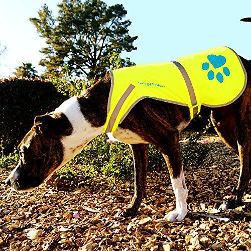 6) Dog Reflective Vest