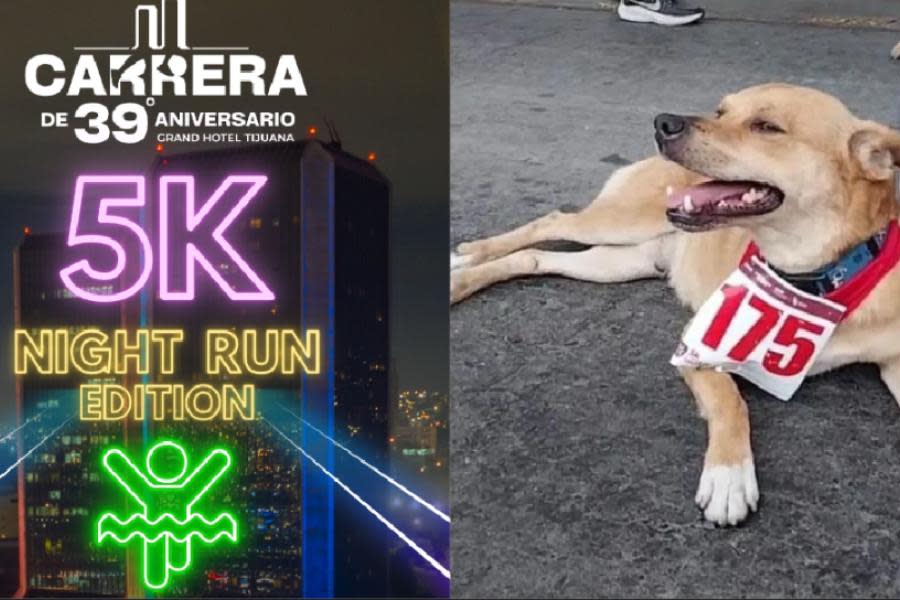 Perro maratonista "El Chicles" participará en carrera nocturna en Tijuana