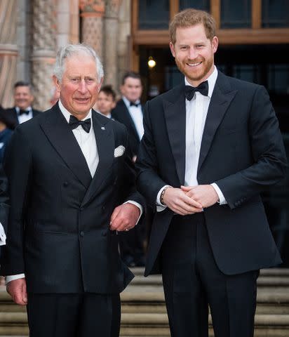 <p>Samir Hussein/Samir Hussein/WireImage</p> King Charles and Prince Harry in April 2019
