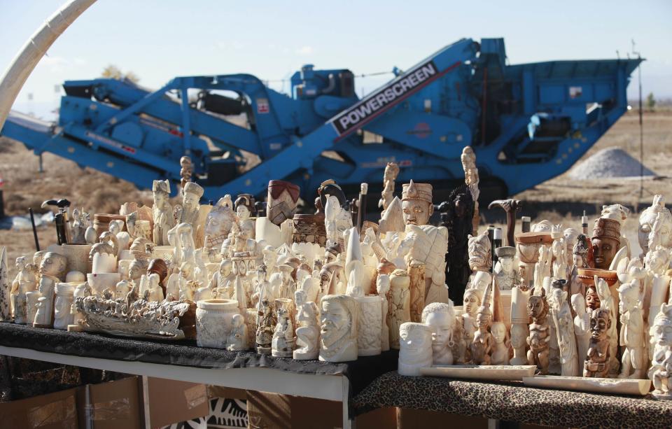 Dozens of confiscated carved ivory sculptures are displayed before 6 tons of ivory was crushed with a rock crushing machine in the background, in Denver