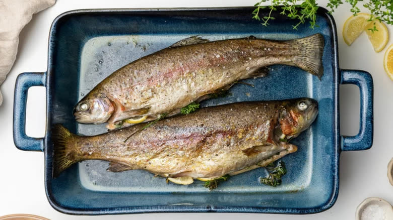 Two whole cooked trout in oven dish