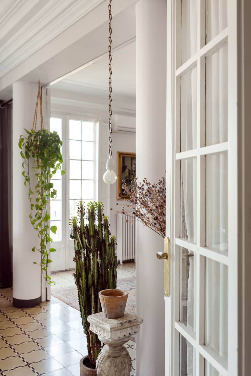 Hanging and potted plants line living room entryway.