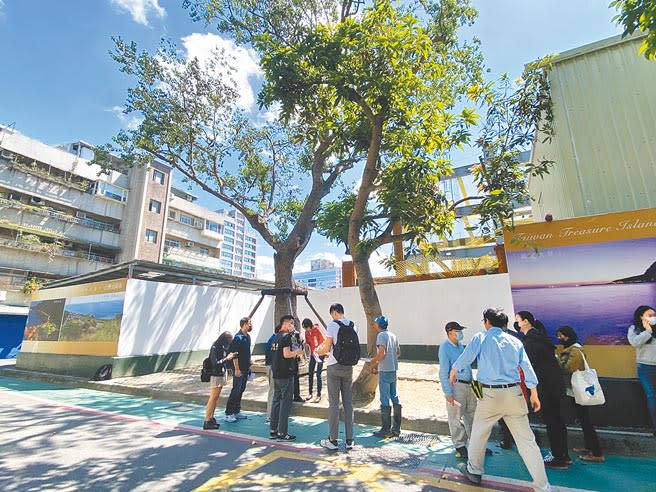 位在光復南路上一棵受保護的「烏桕樹」疑似遭到鄰近施工建商破壞，台北市議員王鴻薇接獲民眾陳情，到現場勘查發現，部分樹枝被鋸斷。（游念育攝）