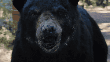 cocaine bear sneezing out cocaine