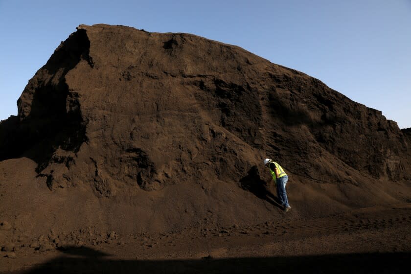 LAMONT, CA - DECEMBER 03: Sharbel Eid, general manager, grabs a sample of finished feed stock compost at the Recology Blossom Valley Organics compost facility on Friday, Dec. 3, 2021 in Lamont, CA. Blossom Valley Organics produces compost, a nutrient-rich soil amendment, made from recovered tree and yard trimmings, untreated wood wastes and natural fiber products on their 200 acre composting area. On January 1, Californians will be asked to comply with a watershed new law that requires them to separate organic waste - lawn cuttings, leaves, banana peels, coffee grounds, egg shells and more -from the rest of their trash. The green and food matter must be turned into compost, mulch or fuel under the law, which is intended to decrease the state's reliance on landfills and to reduce the greenhouse gases those dumps produce. (Gary Coronado / Los Angeles Times)