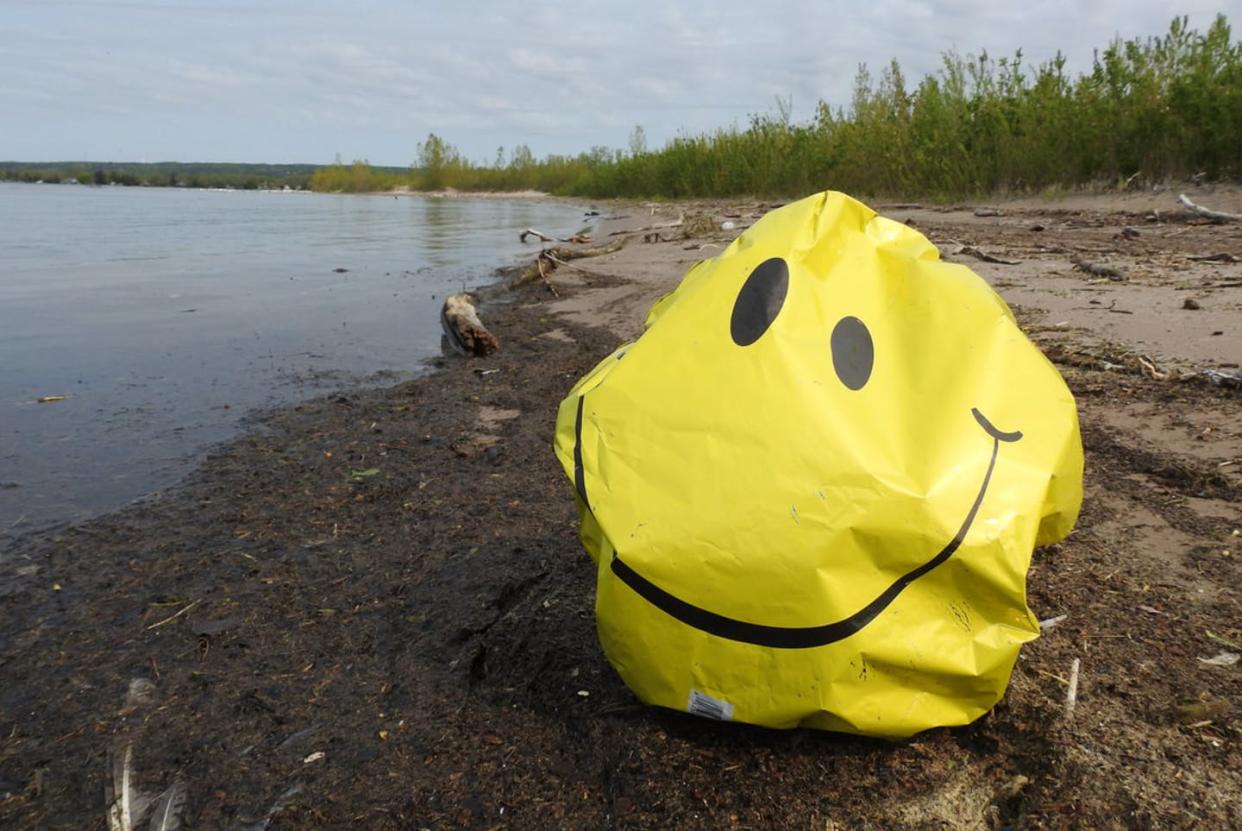 <span class="caption">A mylar balloon at Presqu'ile Provincial Park in Ontario, Canada.</span> <span class="attribution"><span class="source">Lara O'Brien</span>, <a class="link " href="http://creativecommons.org/licenses/by-nd/4.0/" rel="nofollow noopener" target="_blank" data-ylk="slk:CC BY-ND;elm:context_link;itc:0;sec:content-canvas">CC BY-ND</a></span>