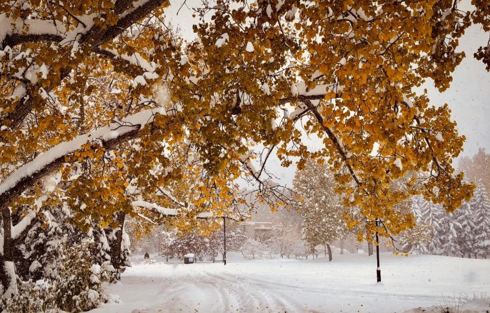 Calgary snow