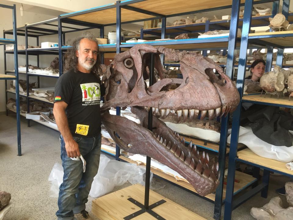 Juan Ignocio Canales stands next to a reconstruction of Meraxes Gigas' skull bones.