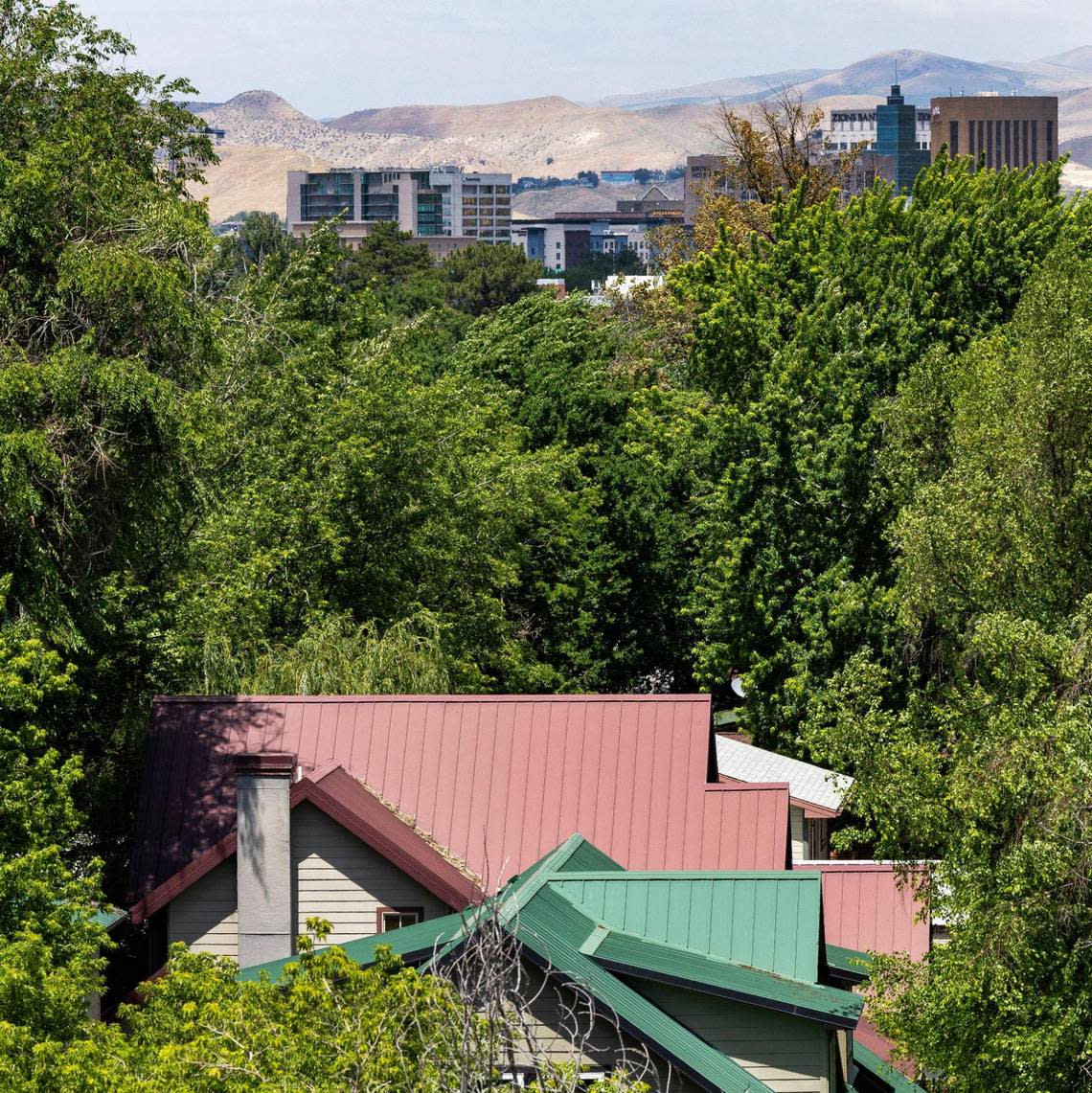 The downtown Boise skyline, background, and homes just north of Federal Way. Changes to the city’s zoning laws would allow denser development in Boise neighborhoods.