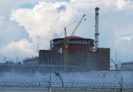 FILE PHOTO: Zaporizhzhia Nuclear Power Plant near Enerhodar