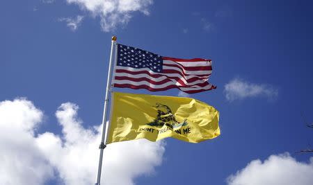 The United States flag and the historic American Gadsden flag fly over a camp of patriots near the U.S. - Mexico border outside Brownsville, Texas September 2, 2014. REUTERS/Rick Wilking