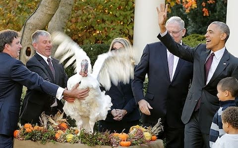 President Barack Obama (R) pardons the National Thanksgiving Turkey, 'Tot,' with his nephews Aaron and Austin Robinson in a ceremony in the Rose Garden at the White House November 23, 2016 in Washington, DC - Credit: Chip Somodevilla/Getty