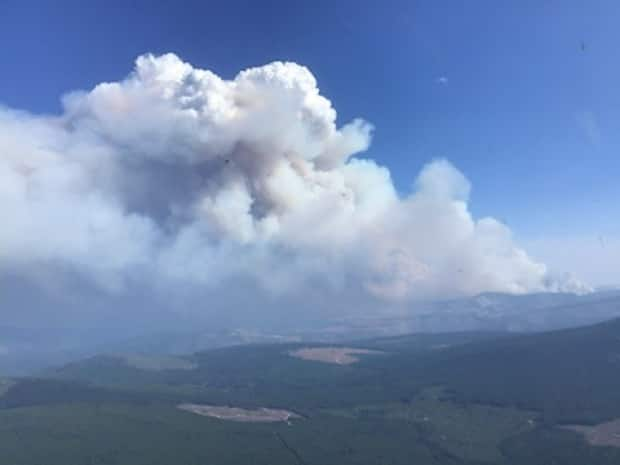 A wildfire burns near Garrison Lake, just 33 kilometres southwest of Princeton, B.C., on Saturday. It was estimated to be nearly 82 square kilometres in size, with 'significant growth' over the previous day, B.C.'s wildfire service said.  (B.C. Wildfire Service/Twitter - image credit)