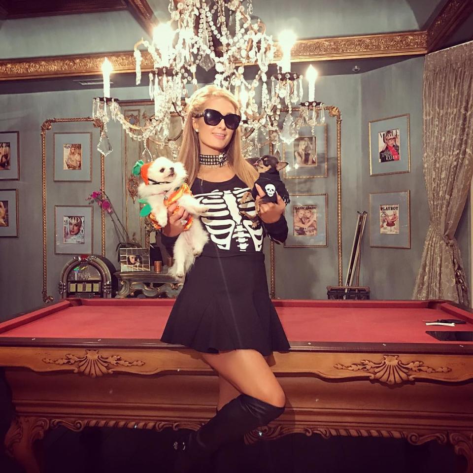 <p>Paris Hilton cuddled a couple of pups over the weekend as she judged a <a rel="nofollow noopener" href="https://www.instagram.com/p/Ba2Ns4Xne0R/?hl=en&taken-by=parishilton" target="_blank" data-ylk="slk:doggie Halloween costume competitio;elm:context_link;itc:0;sec:content-canvas" class="link ">doggie Halloween costume competitio</a>n, which must have been a tough, tough gig. (Photo: Instagram/Paris Hilton) </p>