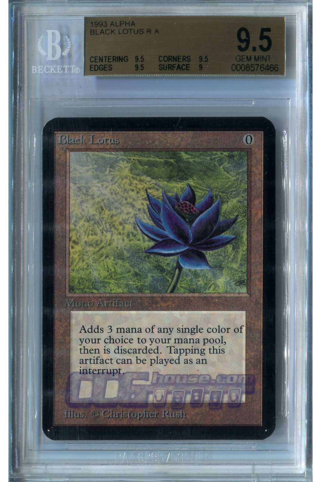 Black Lotus Card