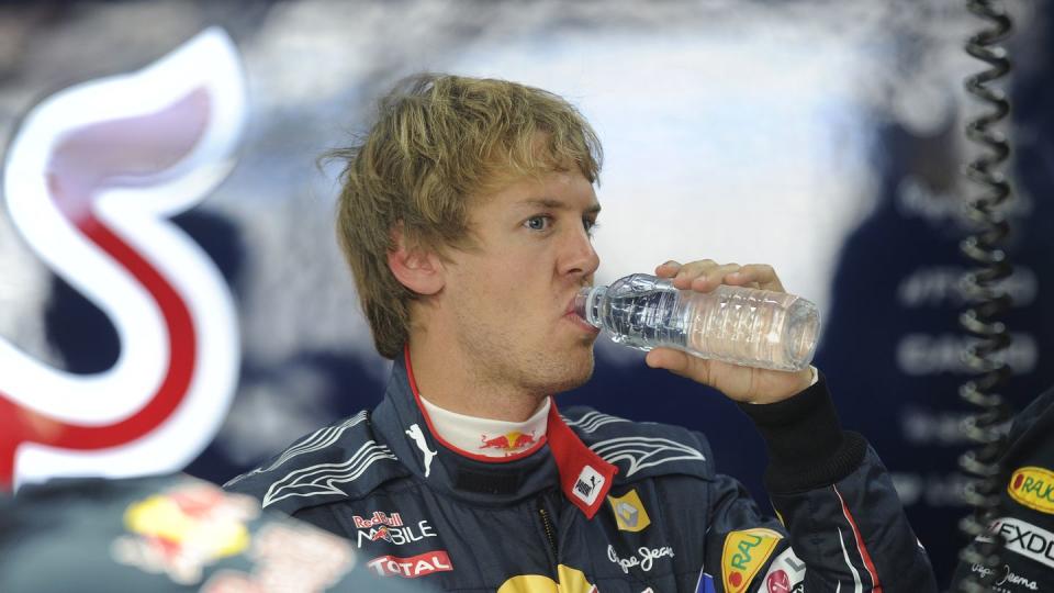 red bull renault driver sebastian vettel