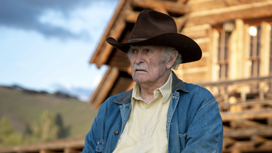 a man wearing a cowboy hat