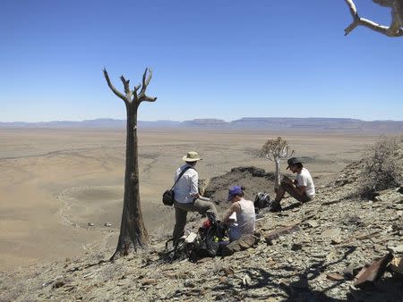 Researchers carry out field work in southern Namibia, in this undated handout photoobtained by Reuters on June 26, 2014. REUTERS/Rachel Wood/Handout via Reuters