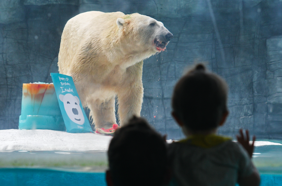 Inuka suffered from a series of ailments (Picture: Rex)