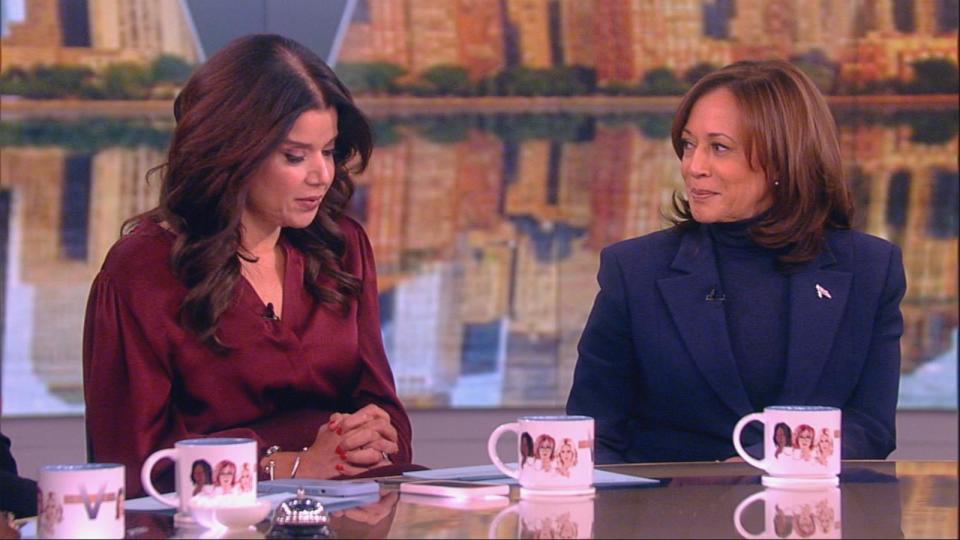 PHOTO: 'The View' co-host Ana Navaro speaks with Vice President Kamala Harris on Jan. 17, 2024. (ABC News)