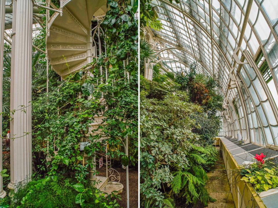 Inside the Palm House