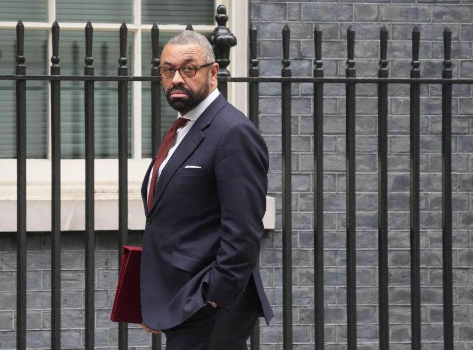 James Cleverly is understood to have given the green light on the project (PA)