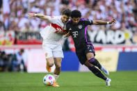 Stuttgart's Leonidas Stergiou, left, vies for the ball with Munich's Serge Gnabry, during the German Bundesliga soccer match between Bayern Munich and VfB Stuttgart, in Stuttgart, Germany, Saturday, May 4, 2024. (Tom Weller/dpa via AP)
